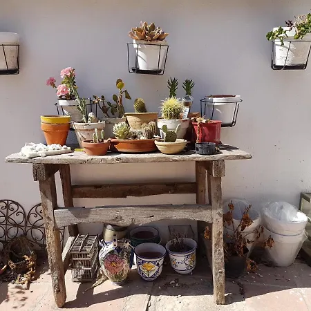 Mil Estrellas Bed & Breakfast 3*
