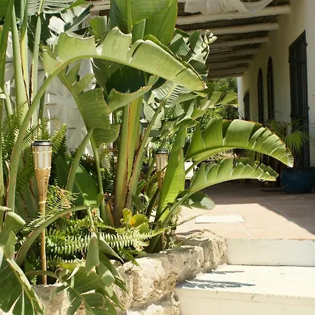 Mil Estrellas Bed & Breakfast